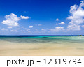 沖縄西表島の海2 12319794