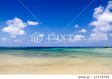 沖縄西表島の海2 12319794