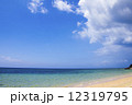 沖縄西表島の海3 12319795