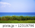 沖縄西表島の海4 12319796