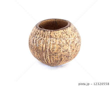 Coconut shell 12320558