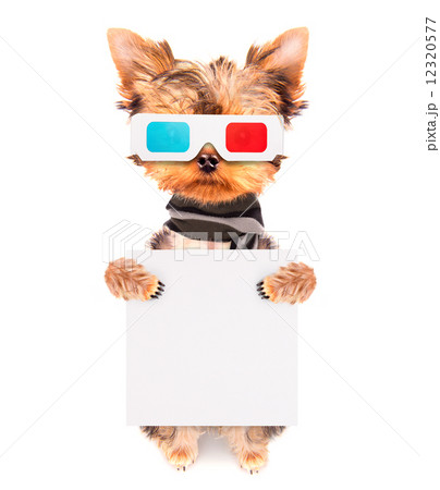 dog going to the movies with banner 12320577