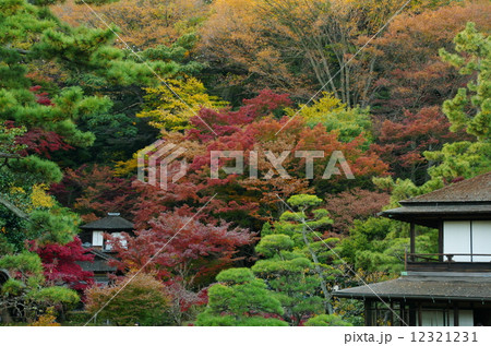 三渓園 12321231