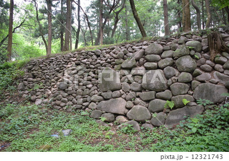 箕輪城　三ノ丸石垣 12321743