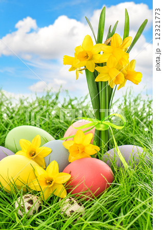 easter eggs and flowers with blue sky 12321773