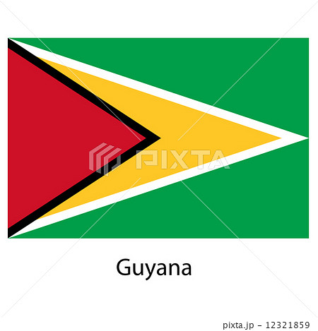 Flag  of the country  guyana. Vector illustration.  12321859