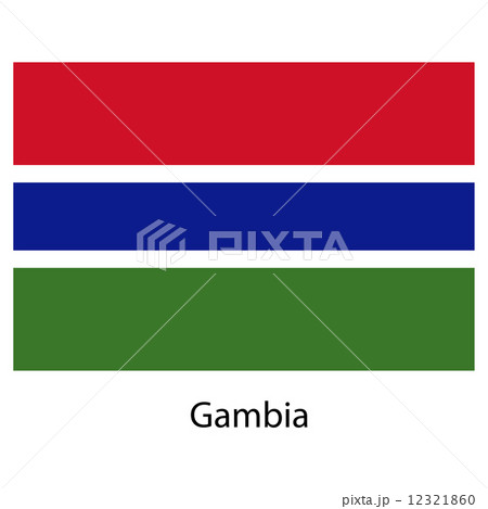 Flag  of the country  gambia. Vector illustration.  12321860
