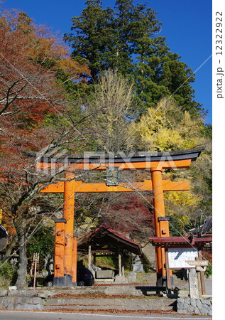 金櫻神社 12322922