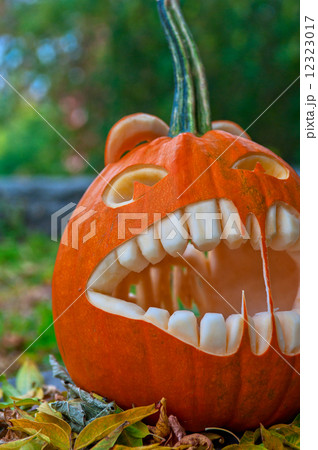 Halloween pumpkin Halloween pumpkin 12323017