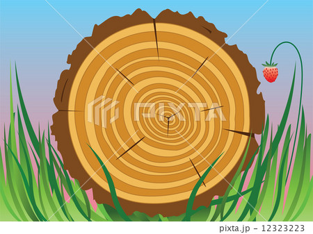 vector wooden cut vector wooden cut 12323223