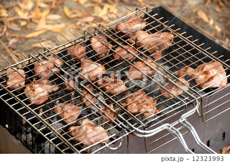 Barbecue Barbecue 12323993