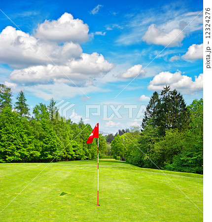 golf field. green grass and blue sky 12324276