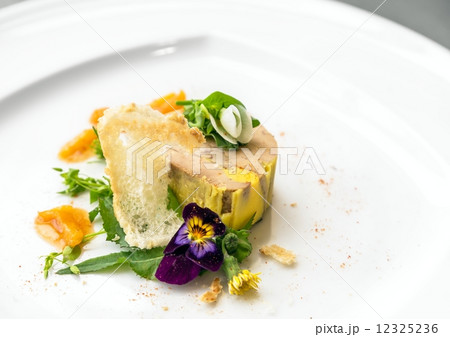 Delicious gourmet food 12325236