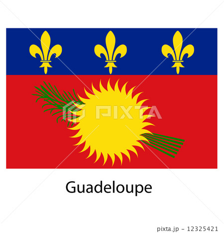 Flag  of the country guadeloupe. Vector illustration.  12325421
