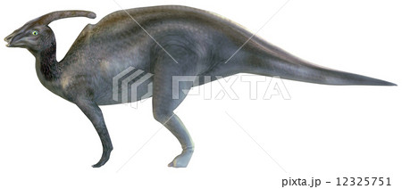‪パラサウロロフス‬☆‪Parasaurolophus‬ 12325751
