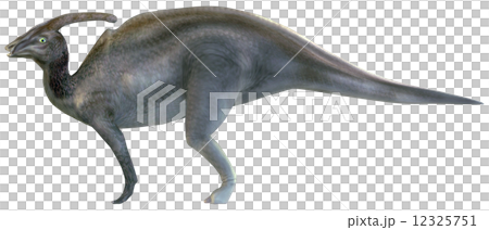 ‪パラサウロロフス‬☆‪Parasaurolophus‬ 12325751