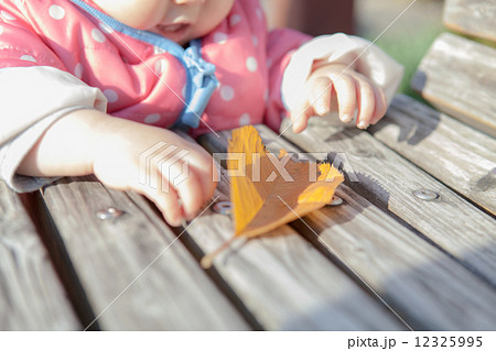 1才 女の子 落ち葉 1才 女の子 落ち葉 12325995