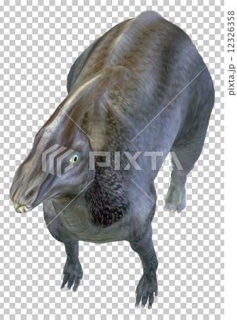 Parasaurolophus☆Parasaurolophus 12326358