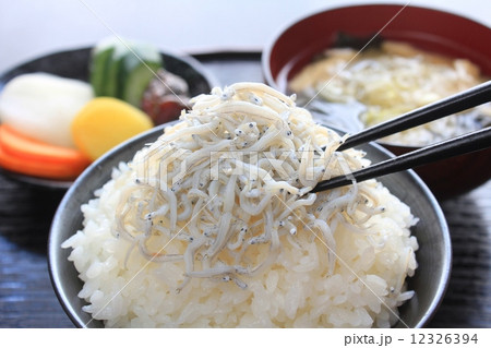 ご飯のお供　しらす 12326394