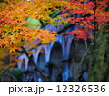 南禅寺の水路閣と紅葉 12326536