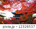 南禅寺の紅葉 12326537