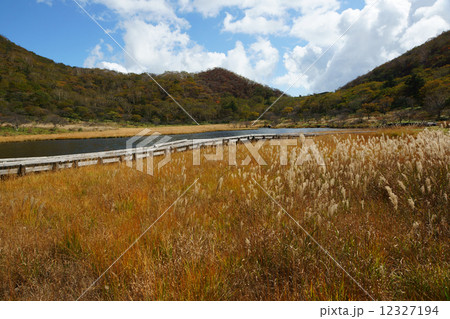 秋の覚満淵 12327194