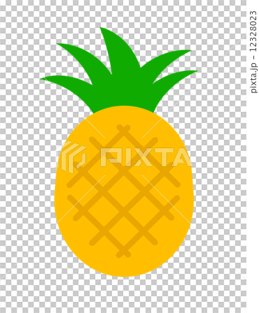 パイナップル パイナップル 12328023