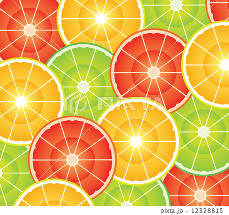 vector citrus slices  12328815