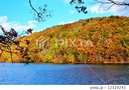 澄み切った空と紅葉の湖 澄み切った空と紅葉の湖 12329243