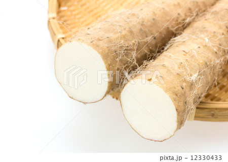 ねばりっこ　鳥取県産 12330433