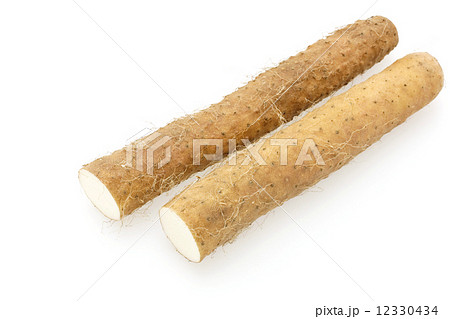 ねばりっこ　鳥取県産 12330434