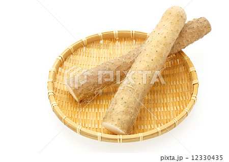 ねばりっこ　鳥取県産 12330435