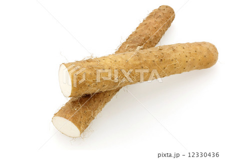 ねばりっこ　鳥取県産 12330436