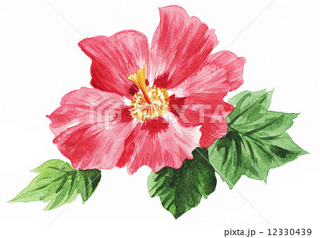 Fuyoupix7のイラスト素材