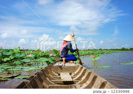 Vietnamese village, row boat, lotus flower, lotus pond Vietnamese village, row boat, lotus flower, lotus pond 12330996