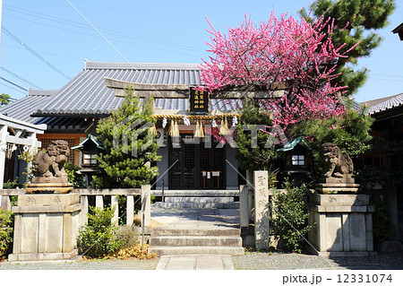 京都 須賀神社と交通神社 京都 須賀神社と交通神社 12331074
