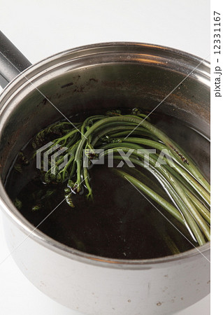 大自然の贈り物 わらび 大自然の贈り物 わらび 12331167