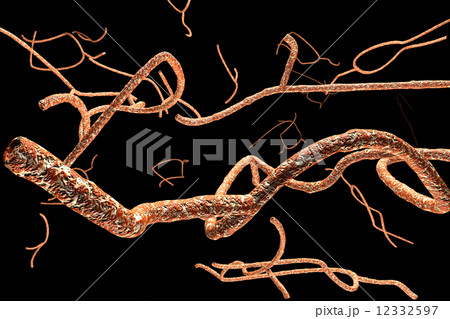 Microscopic Ebola Virus and Blood Cells 3D render 12332597