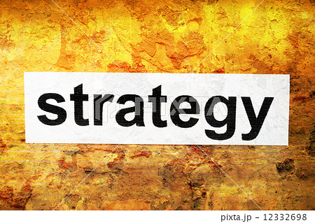 Strategy 12332698