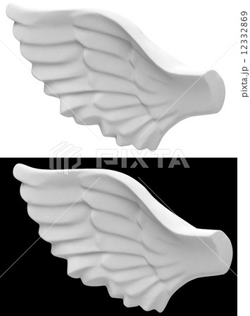 the angel wing the angel wing 12332869