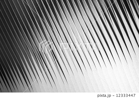 Abstract background texture with white fabric cut into strips Abstract background texture with white fabric cut into strips 12333447