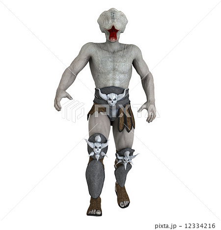 モンスター 12334216