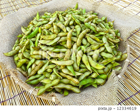 枝豆 枝豆 12334619