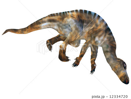 イグアノドン☆Iguanodon 12334720