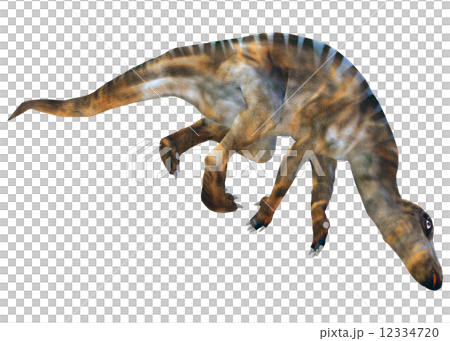 イグアノドン☆Iguanodon 12334720