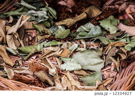 Abstract dried herbs background.Some depth of field effect. 12334927