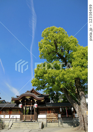 晴明神社 12336499