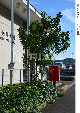 郵便の木 12337210