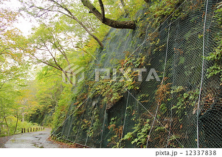 土砂崩れ防止の写真素材