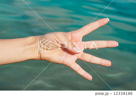 Hand showing number with fingers 12338186